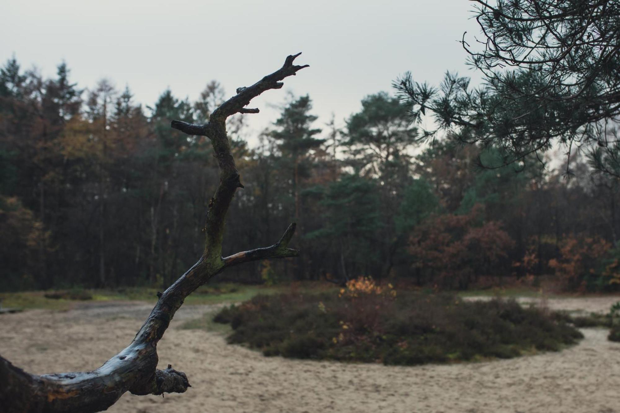 Drents Genieten - Kraaiheide Met Prive Jacuzzi Erm 외부 사진